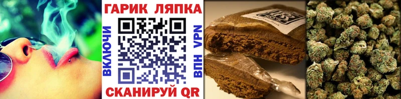 ГАШ Cannabis Сусуман