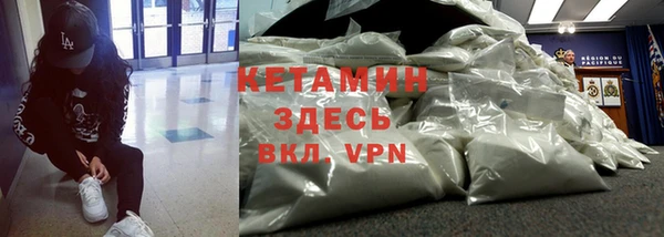 сатива Коряжма