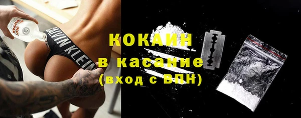 сатива Коряжма