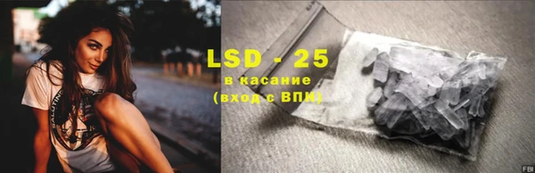 сатива Коряжма