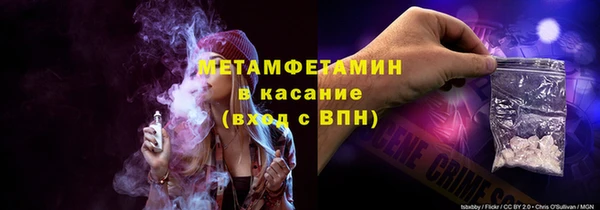 сатива Коряжма