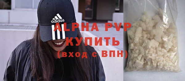 сатива Коряжма