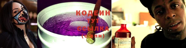 сатива Коряжма