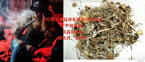 ECSTASY Корсаков