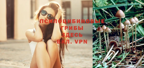 сатива Коряжма