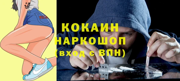 сатива Коряжма