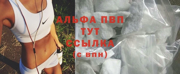сатива Коряжма
