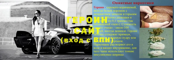 сатива Коряжма