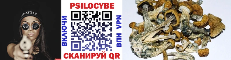 Псилоцибиновые грибы мухоморы  Сусуман 